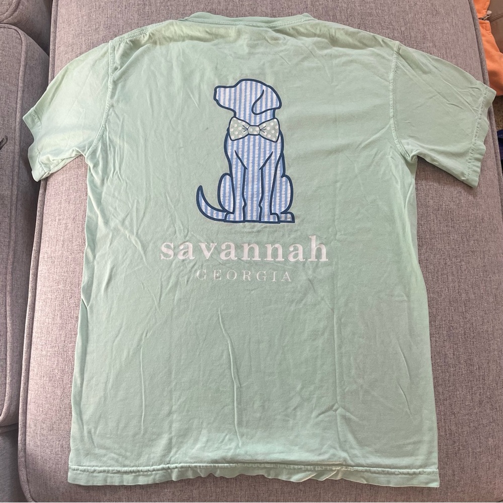 🌷Savannah Georgia Light Green Tee